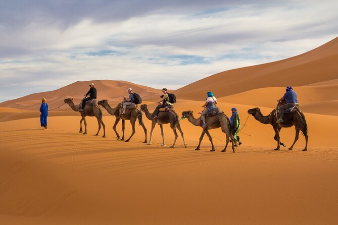7D Desert Private Tour From Marrakech By Fes And Blue Chefchaouen - Tour Inclusions