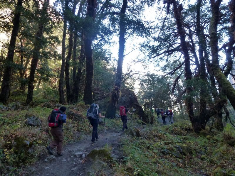 7D6N Langtang Valley Trek from Kathmandu - Day 3: forest trails and Langtang Village