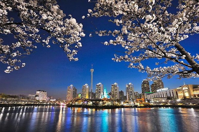 7day Korea Package Tour With Seoul Gyeongju Busan Jeju - Reviews