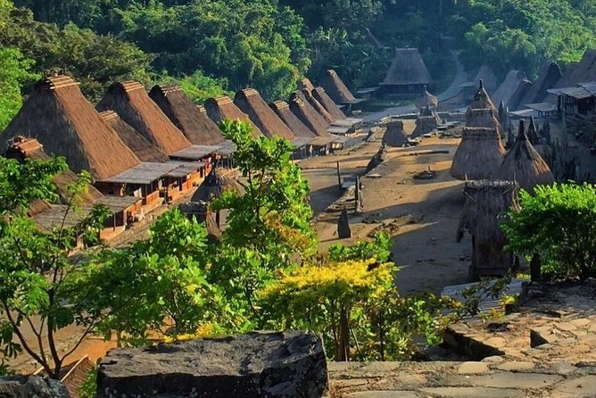 7Days Explore Komodo & Flores - Traveler Experience Highlights