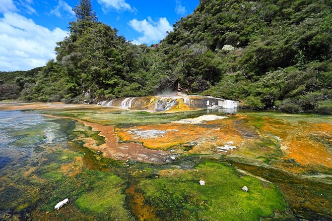 7hr Waimangu Geothermal Valley & Lake Rotomahana Tour - Departs Tauranga - Cancellation Policy and Refunds