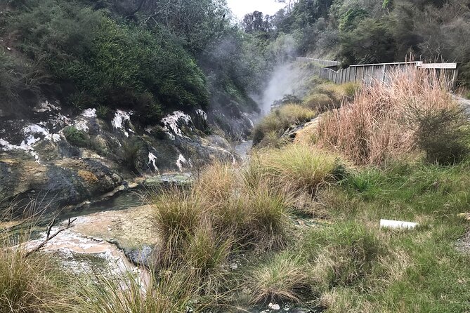 7hr Waimangu Geothermal Valley & Lake Rotomahana Tour - Departs Tauranga - Minimum Traveler Requirement