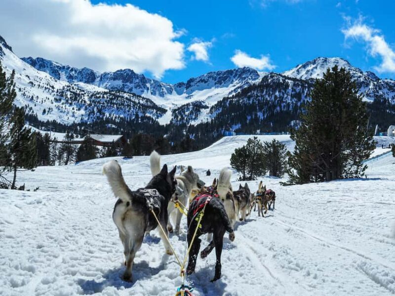 8-10km Husky Ride in the Taiga Forest & Visiting the Kennel - The Itinerary in Detail