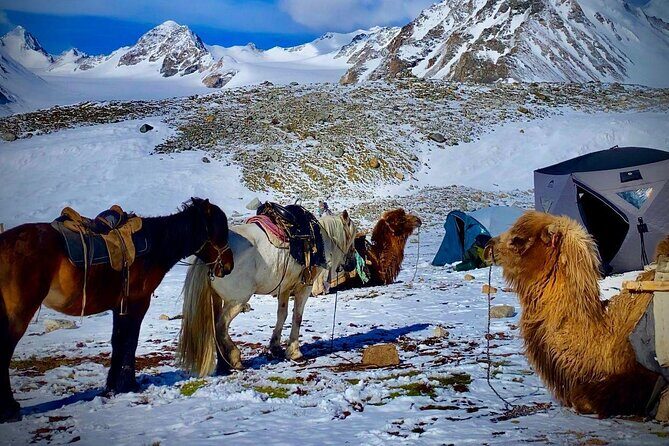 8 Day Altai Tavan Bogd Private Trekking - Value & Cost Analysis