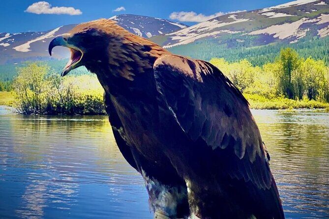 8 Day Altai Tavan Bogd Private Trekking - Who Should Consider This Tour?