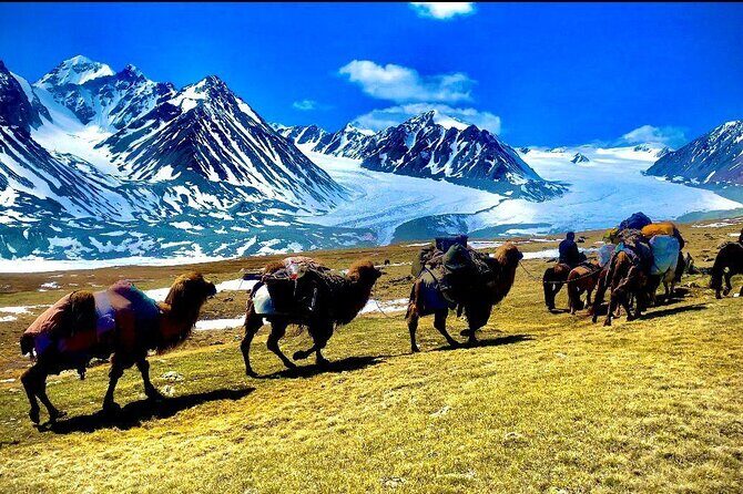 8 Day Altai Tavan Bogd Private Trekking - The Sum Up: Is This Tour Right for You?