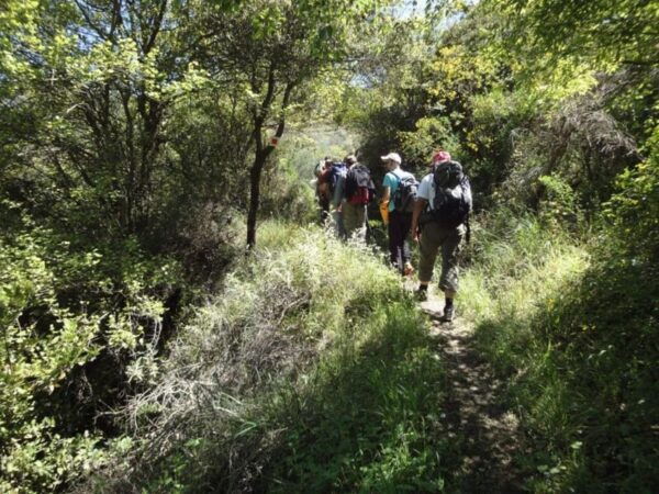 8-day Archaeology & Activity Holiday in Greece - Inclusions and Amenities