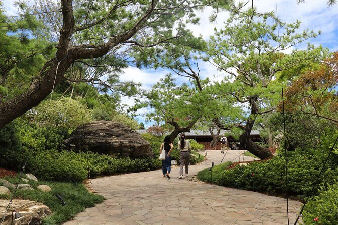 8-Day Around Taiwan Private Tour - The Full 8-Day Experience: An In-Depth Breakdown