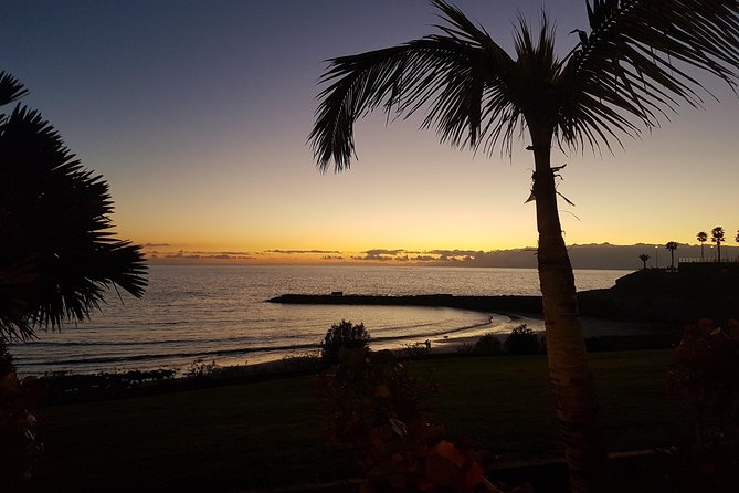8-Day Bicycle Tour To Tenerife In Spain - Price