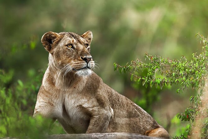 8 Day Bush and Beach Private Holiday Safari - Tour Inclusions