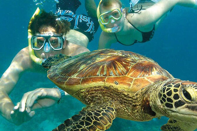 8-Day Cairns Tour: Great Barrier Reef, Kuranda, Daintree Rainforest - Common Questions