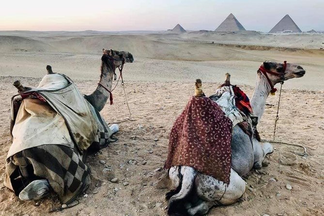 8 Day- Cairo and Nile Cruise Tour Package - The Sum Up