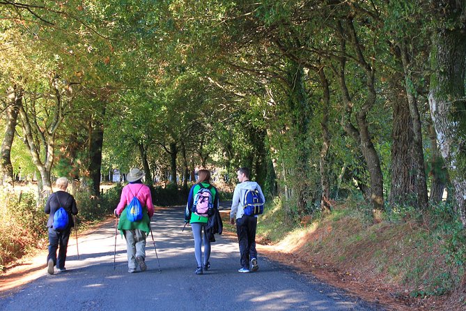 8-Day Camino Frances Pilgrimage Tour From Sarria to Santiago - 6 Walking Days - Cancellation Policy