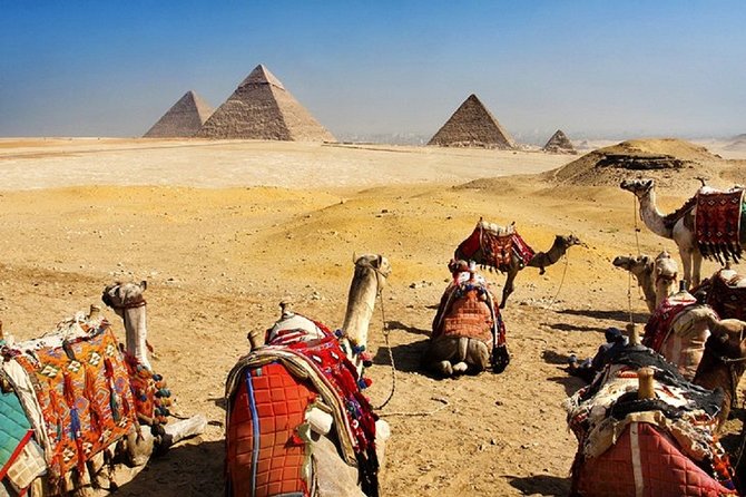 8 Day Egypt Tour Package - Activity Details