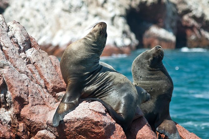 8 Day Enigmas of Peru: Lima, Nasca, Cusco, Sacred Valley & Machu Picchu - Sacred Valley: Exploring Inca Ruins