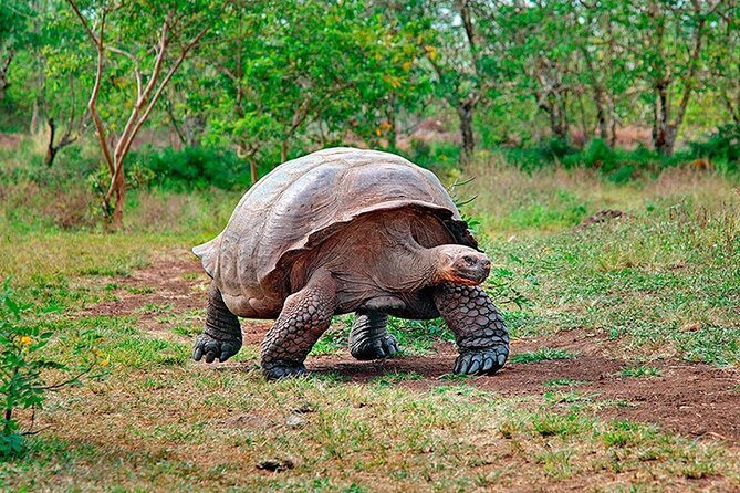 8 Day Galapagos Island Hopping - Good To Know