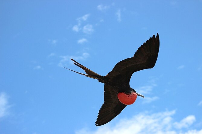 8 Day Galapagos Island Hopping - Traveler Requirements
