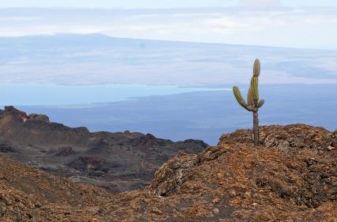 8-Day Galapagos Island Hopping Superior: Kicker Rock, Los Tuneles, Local Flight - Accommodations and Inclusions