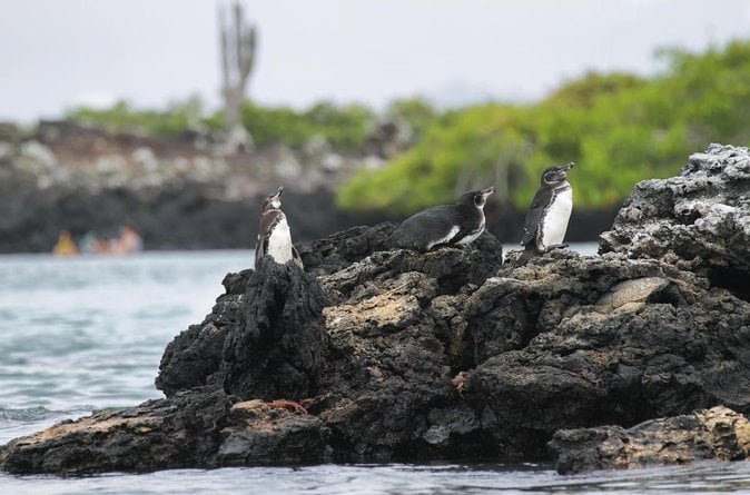 8-day Galapagos on a Budget: 3 Islands Experience - Itinerary Highlights