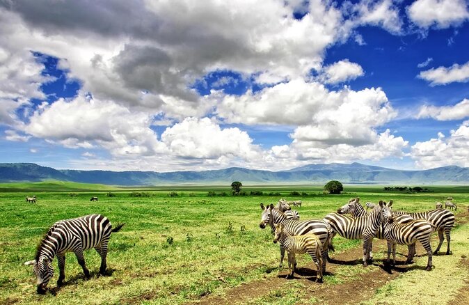 8 Day: Game Drive, Hiking and African Cultural Tour - Good To Know