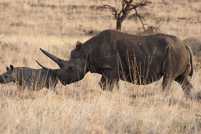 8 Day: Game Drive, Hiking and African Cultural Tour - Important Information