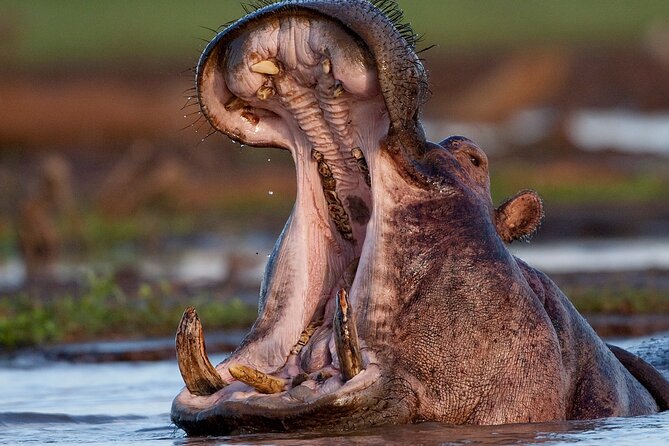 8 Day: Game Drive, Hiking and African Cultural Tour - Tour Logistics