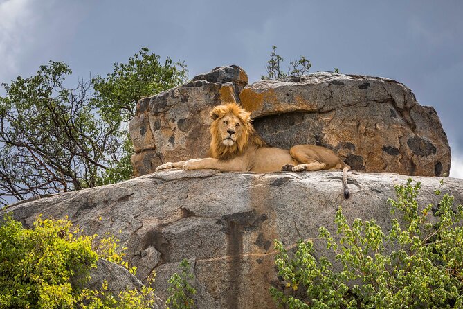 8 Day: Game Drive, Hiking and African Cultural Tour - The Sum Up
