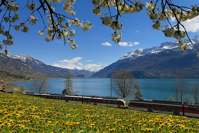 8-Day Grand Train Tour of Switzerland Self-Guided From Geneva - Pricing and Lowest Price Guarantee