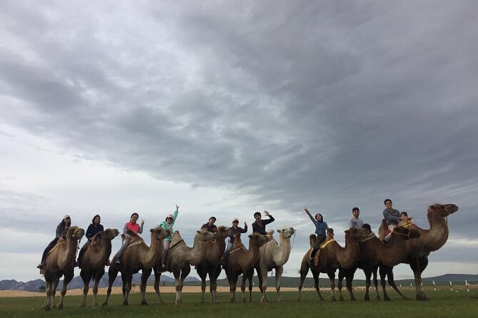 8 Day Great Gobi and Central Mongolia - Transportation Details