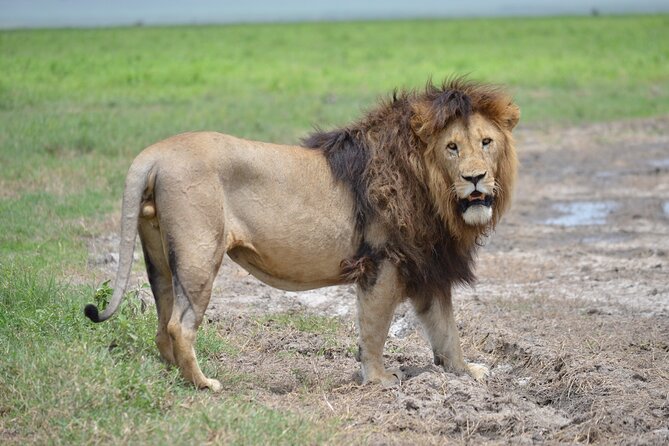 8 Day Green Season&The Great Migration - Pricing Information