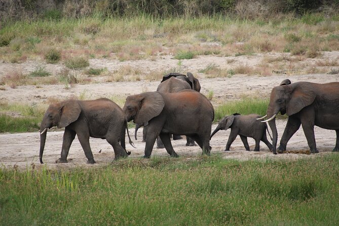 8 Day Green Season&The Great Migration - Booking Confirmation Process