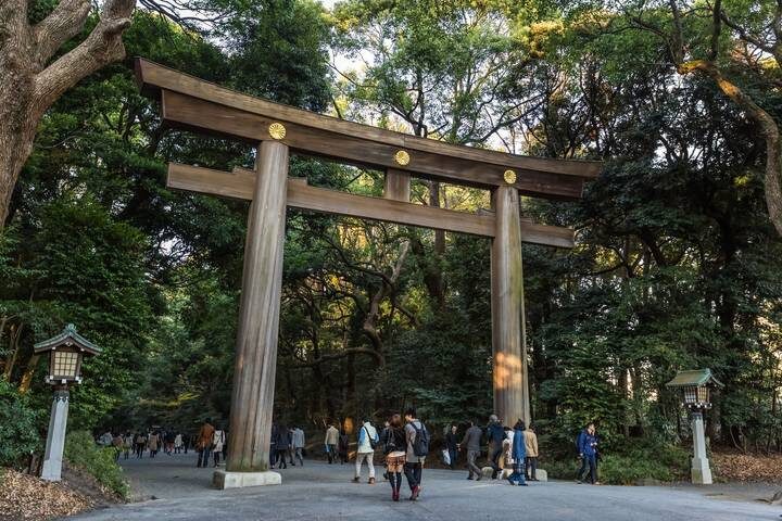 8 Day Highlights of Japan Small Group Tour Package by Tourist Journey - An eight-day route built around the big sights