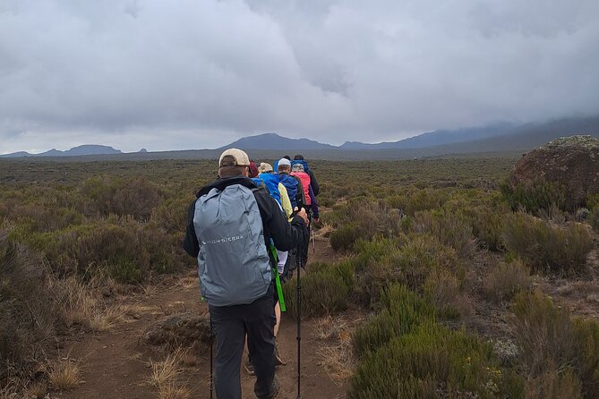 8-Day Hiking Tour Lemosho Route in Tanzania - The Sum Up
