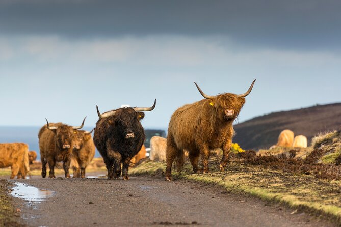 8-Day Isle of Skye, Orkney & North Coast 500 Tour From Edinburgh - Tour Itinerary