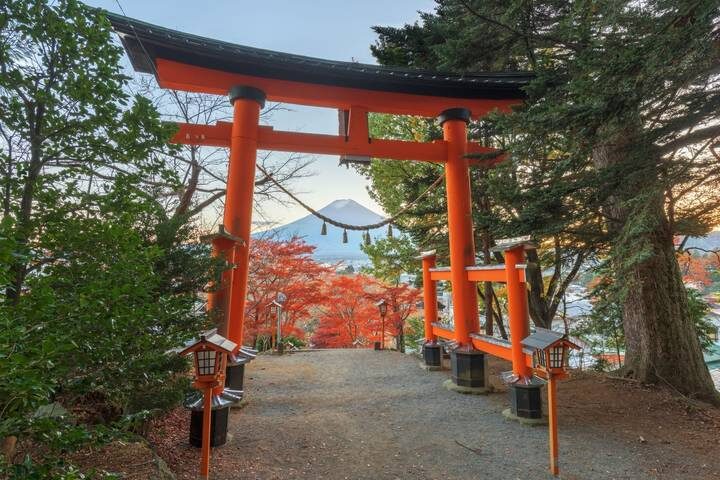 8 Day Japan on a Budget Small Group Tour Package by Tourist Journey - Eight days from Tokyo to Kyoto