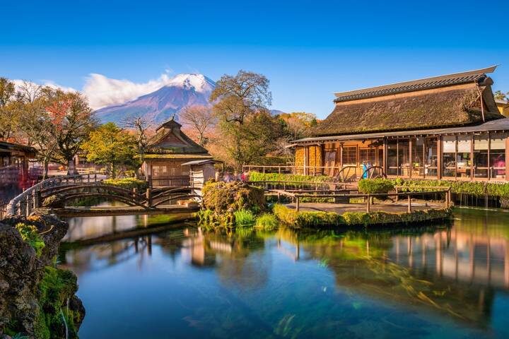 8 Day Japan on a Budget Small Group Tour Package by Tourist Journey - Day 6: Kyoto’s icons and Nara’s Great Buddha