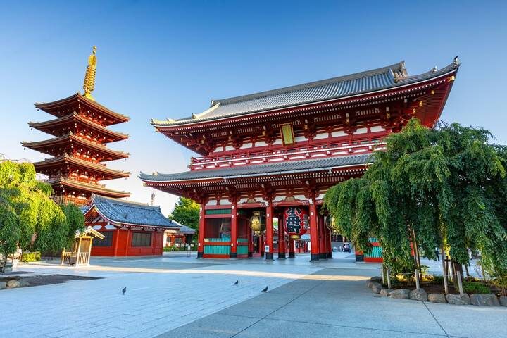 8 Day Japan on a Budget Small Group Tour Package by Tourist Journey - Day 8: Depart from Kyoto