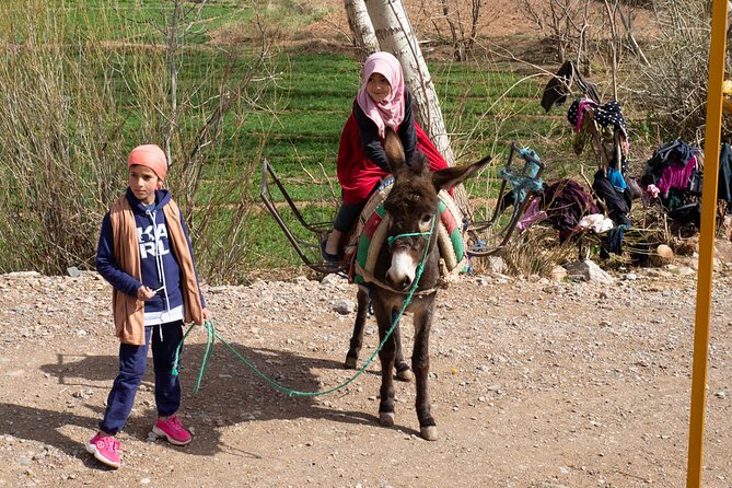 8-Day Jeep Tour - Highlights of North Morroco - Additional Information