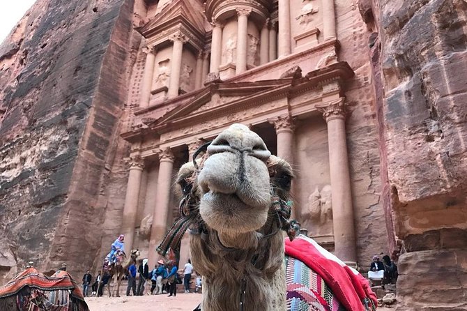 8 Day Jordan Tour From Aqaba Airport & Back - Good To Know