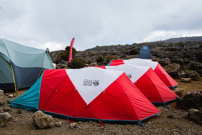 8 Day Kilimanjaro Trek via Lemosho Route - Good To Know