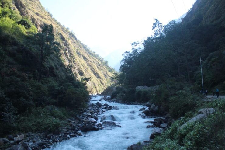 8-Day Langtang Valley Trek: A Himalayan Adventure - Packing Essentials