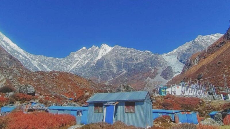 8 Day Langtang Valley Trek for Beginners - An In-Depth Look at the Langtang Valley Trek