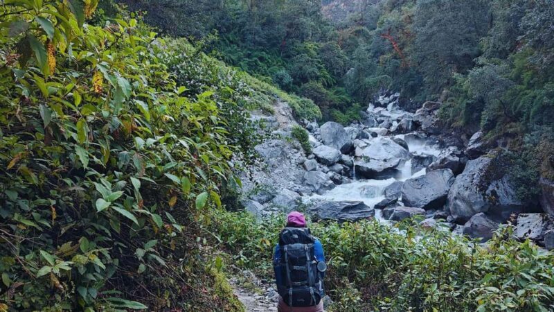 8 Day Langtang Valley Trek for Beginners - Who Is This Trek Best For?