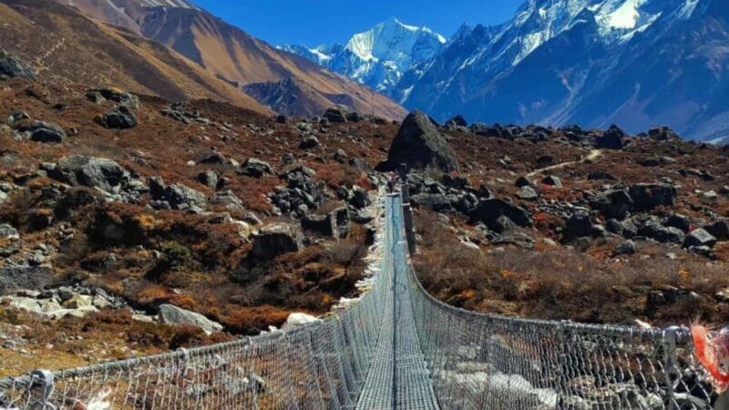 8 Day Langtang Valley Trek for Beginners - Detailed Breakdown of the Itinerary