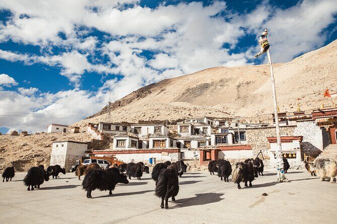 8 Day Lhasa Shigatse and Everest Base Camp Tour - What Makes This Tour Stand Out?