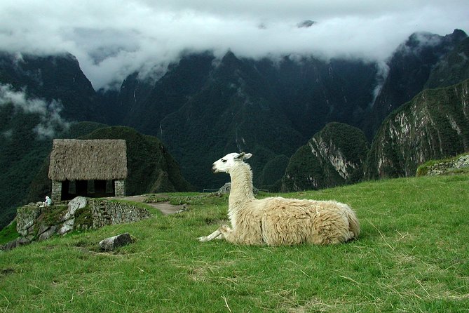 8-Day Machu Picchu and Lake Titicaca Tour From Lima - Day 1: Welcome to Peru. Lima