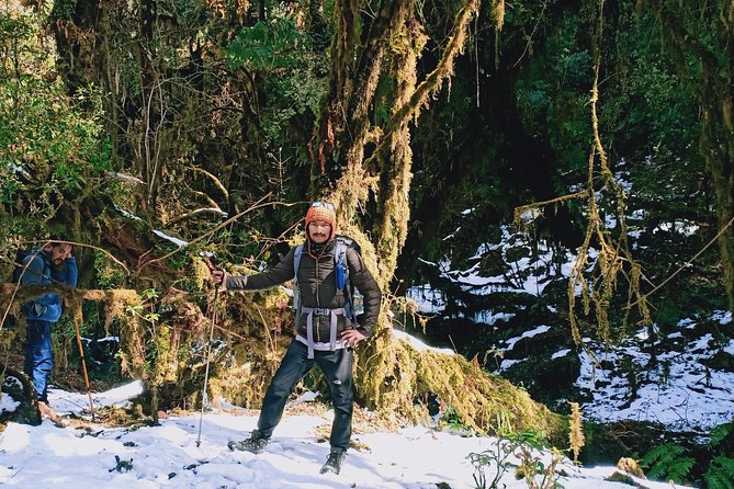 8-Day Mardi Himal Private Trek - Kathmandu - Common Questions