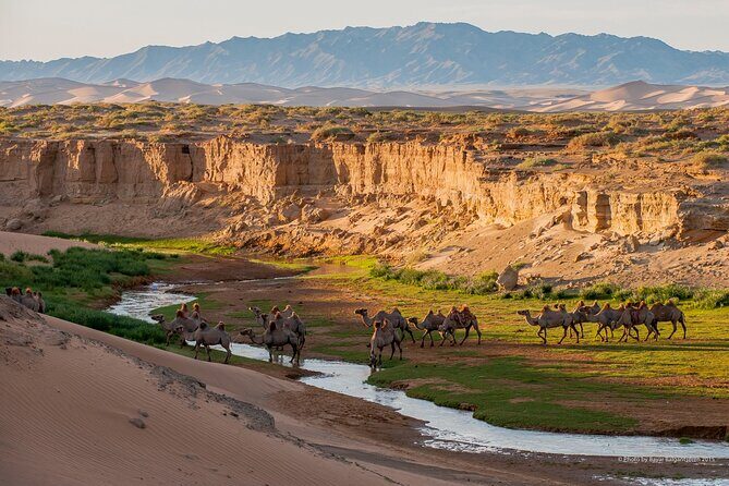 8 Day Mongolia Gobi desert 4WD Adventure Tour - Good To Know