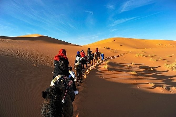8-Day Morocco Highlights Private Tour From Casablanca - Included Meals and Services
