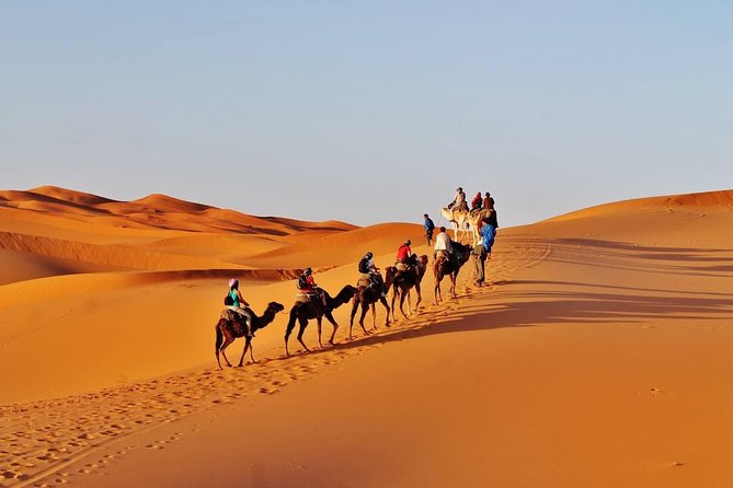 8 - Day Morocco Tour From Casablanca via Sahara Desert - General Information